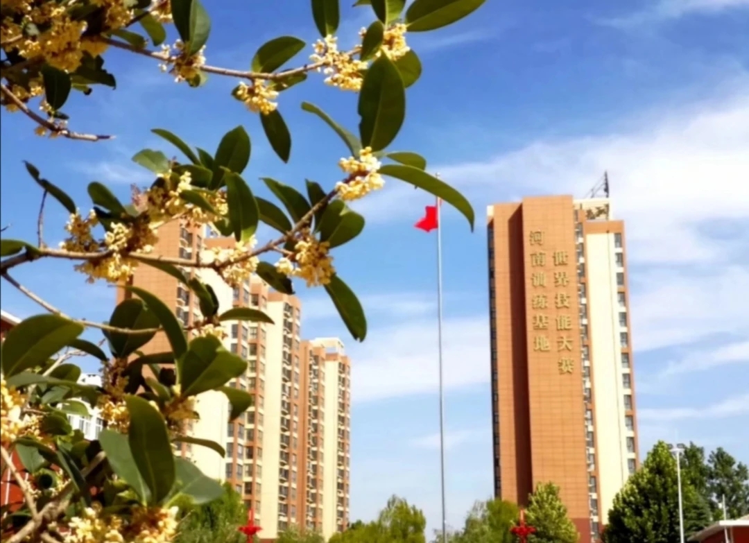 免费,薅,实物,福利,橙心,优选,邀,好友,下单, . 免费薅实物福利,橙心优选,邀好友下单奖励3元秒到现金