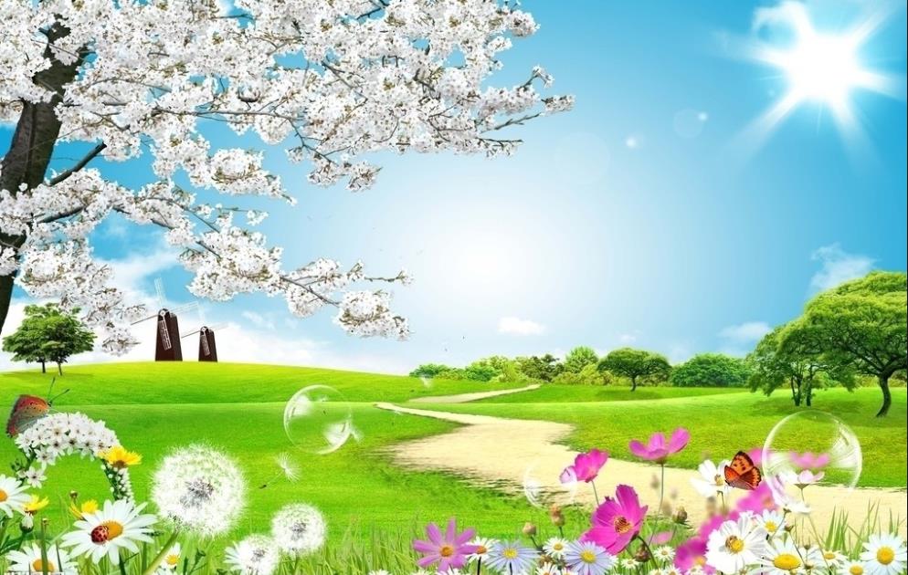 农行,卡,支付,一分钱,抽微,信立,减金,可开, . 农行卡支付一分钱抽微信立减金,可开二类卡赚几十元