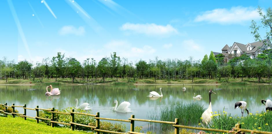 京东,健康,集,汪汪,卡,瓜分,百万,红包,活动, . 京东健康集汪汪卡瓜分百万红包活动第三期,不用怎么拉人头的活动