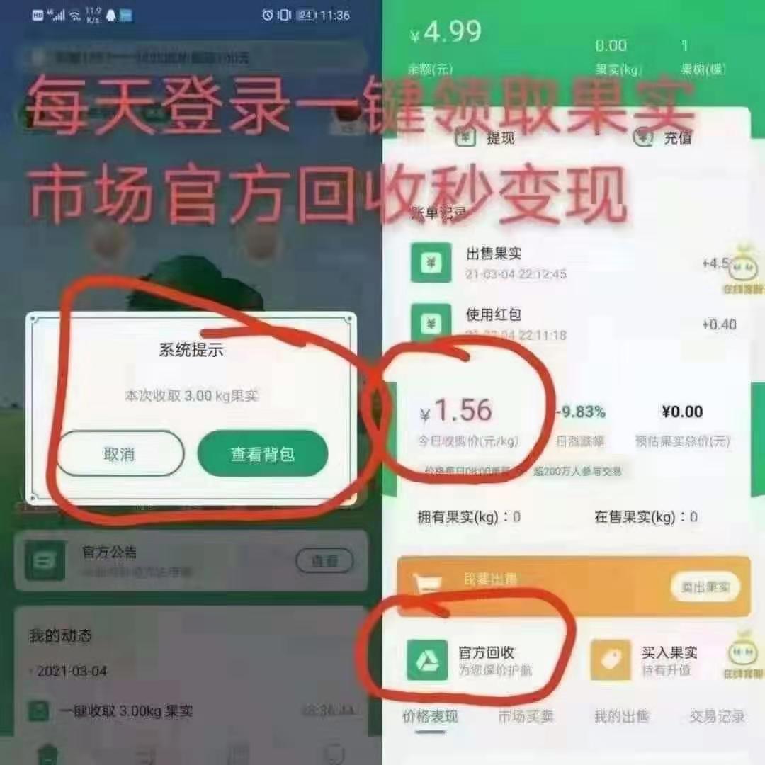 阳光,果园,怎么,赚钱,这个,羊毛,可以,撸,20元, . 阳光果园怎么赚钱?这个羊毛可以0撸20元现金?阳光果园靠谱吗?