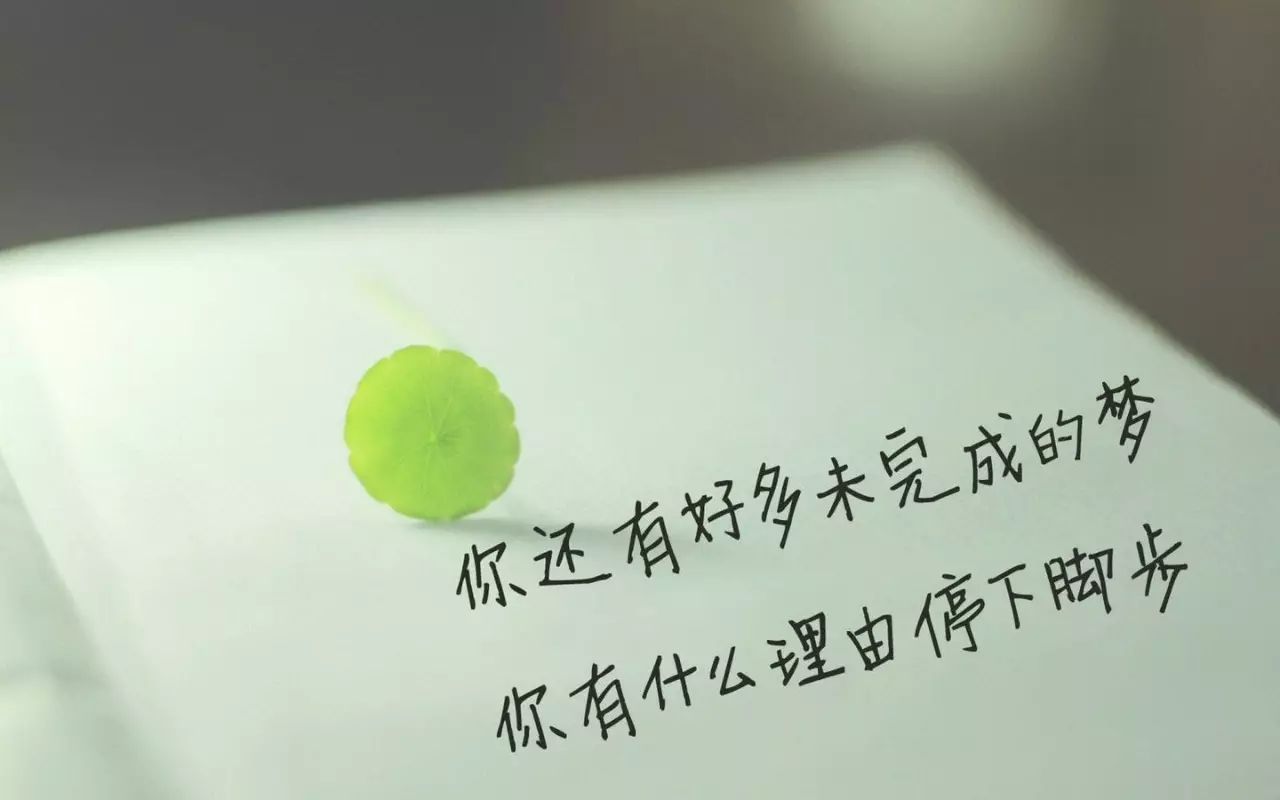 我的,逆袭,人生,靠,谱吗,下载,登录,2天,很多, . 我的逆袭人生靠谱吗?下载登录2天就可以赚0.5元小钱