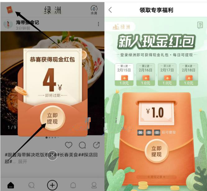 绿洲,app,是什么,新人,奖励,4元,每天,提现,1元, . 绿洲app是什么？绿洲：新人奖励4元，每天提现1元