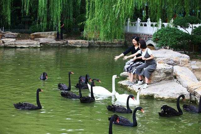 如何,网上,兼职,赚钱,牛帮,手机,在家,好帮手, . 如何网上兼职赚钱?牛帮 手机在家兼职赚钱好帮手