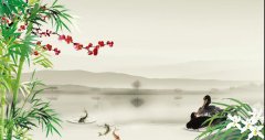 嗨拍购 新人免费领4包包邮抽纸 不下载不注册 一分钟可完成