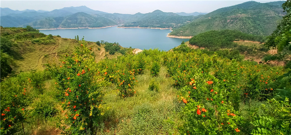 招商,银行,打卡,嘉年华,三个,抽奖,薅,两元, . 招商银行打卡嘉年华,三个抽奖薅两元左右现金