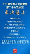 《反外国制裁法》表决通过，恶意制裁终将自食恶果