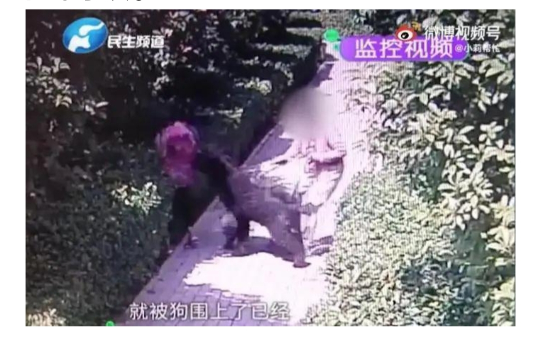 安阳,王新,刚,是什么,梗,连,新华社,都,五问, . 安阳王新刚是什么梗?连新华社都五问王新刚事件了!