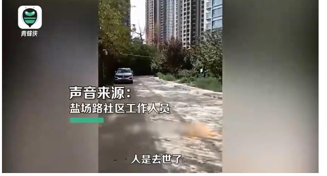 事发,兰州,老人,被,高空,坠狗,砸中,身亡,警方, . 事发兰州:老人被高空坠狗砸中身亡,警方介入暂未找到狗主人